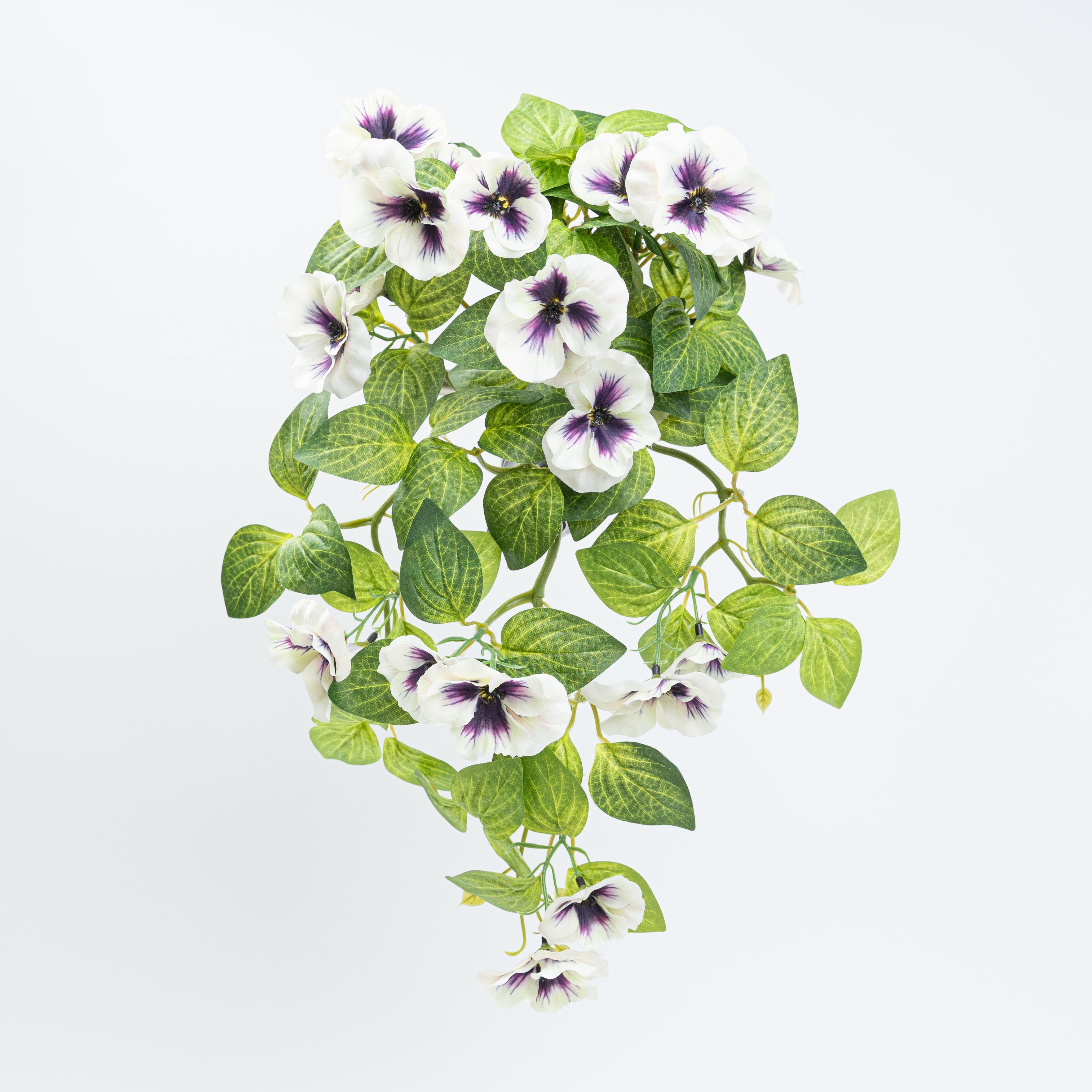 19" PANSY HANGING BUSH