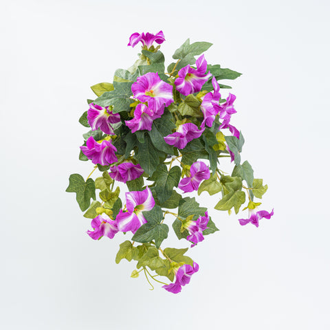 19" PETUNIA HANGING BUSH