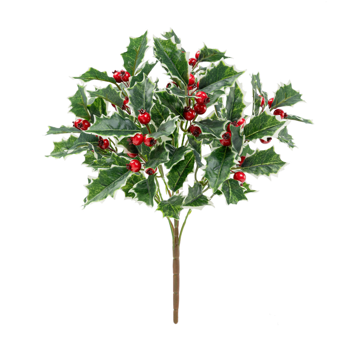 13" HOLLY BERRY BUSH X 7