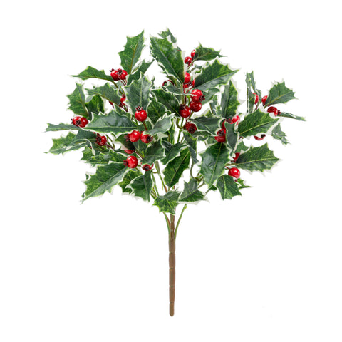 13" HOLLY BERRY BUSH X 7