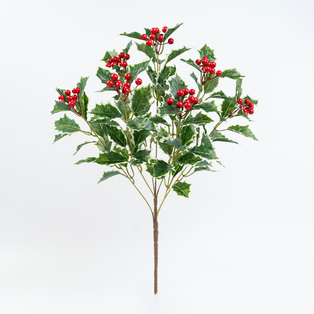 20" HOLLY BERRY BUSH X 7