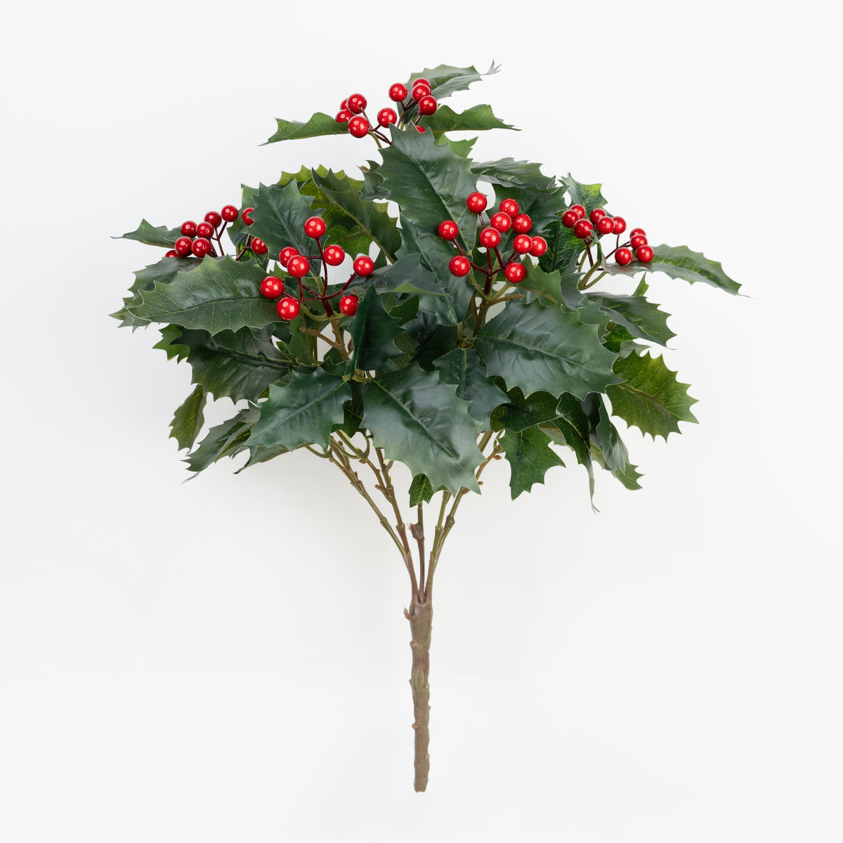 17" HOLLY BERRY BUSH X 5