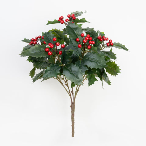 17" HOLLY BERRY BUSH X 5