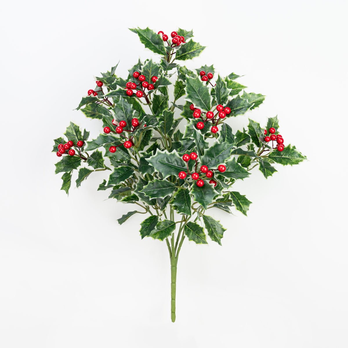 21" HOLLY BERRY BUSH X 10