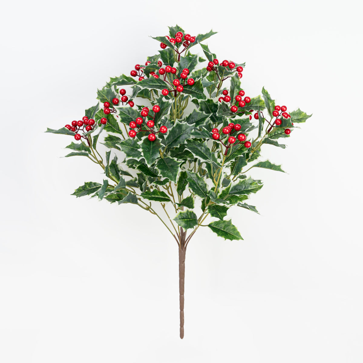 21" HOLLY BERRY BUSH X 10