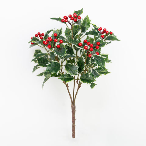 16" HOLLY BERRY BUSH X 5