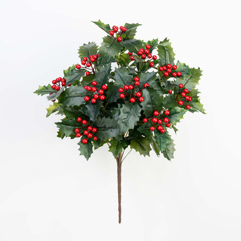 21" HOLLY BERRY BUSH X 10