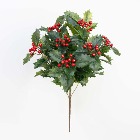 20" HOLLY BERRY BUSH X 7