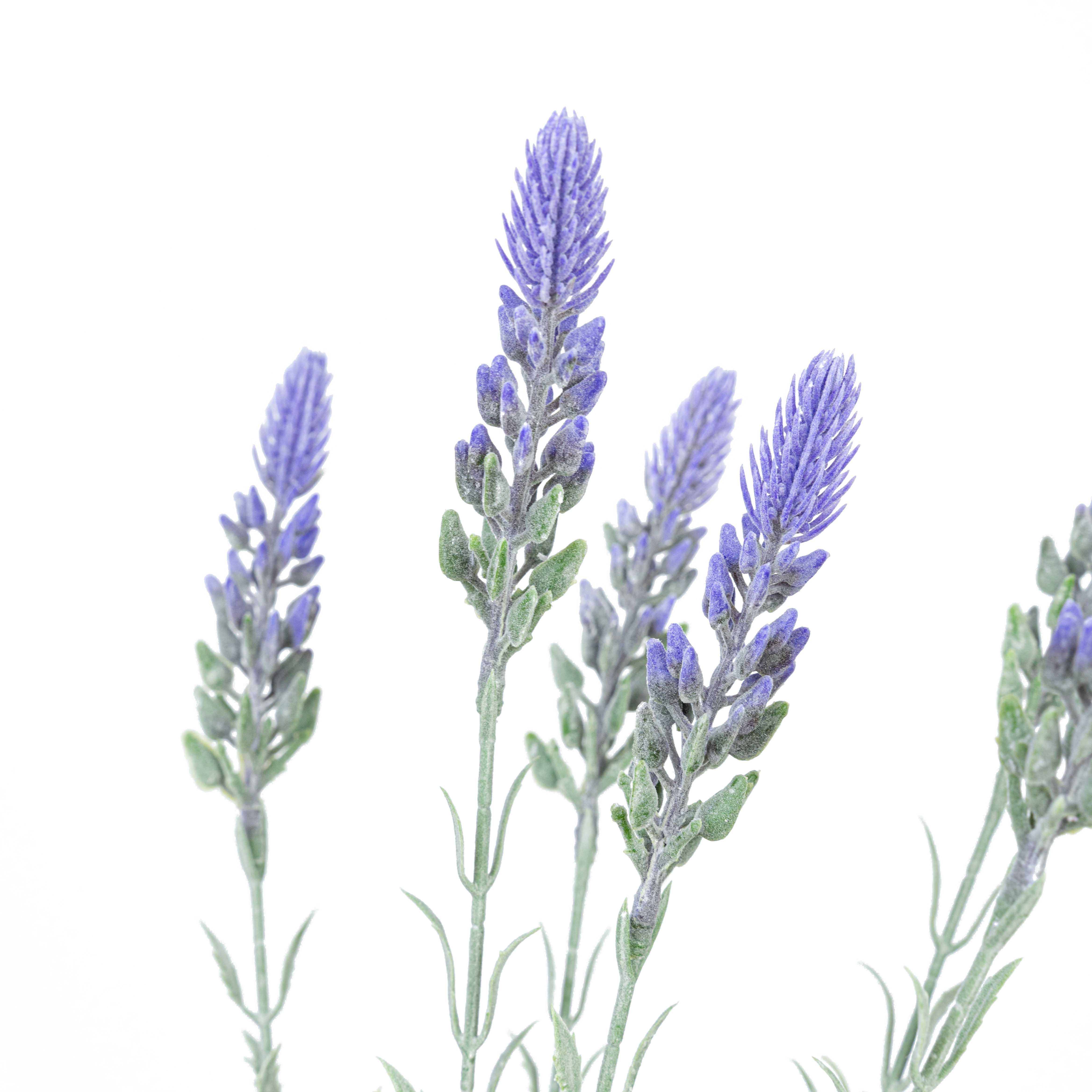 19" LAVENDER BUSH X 7