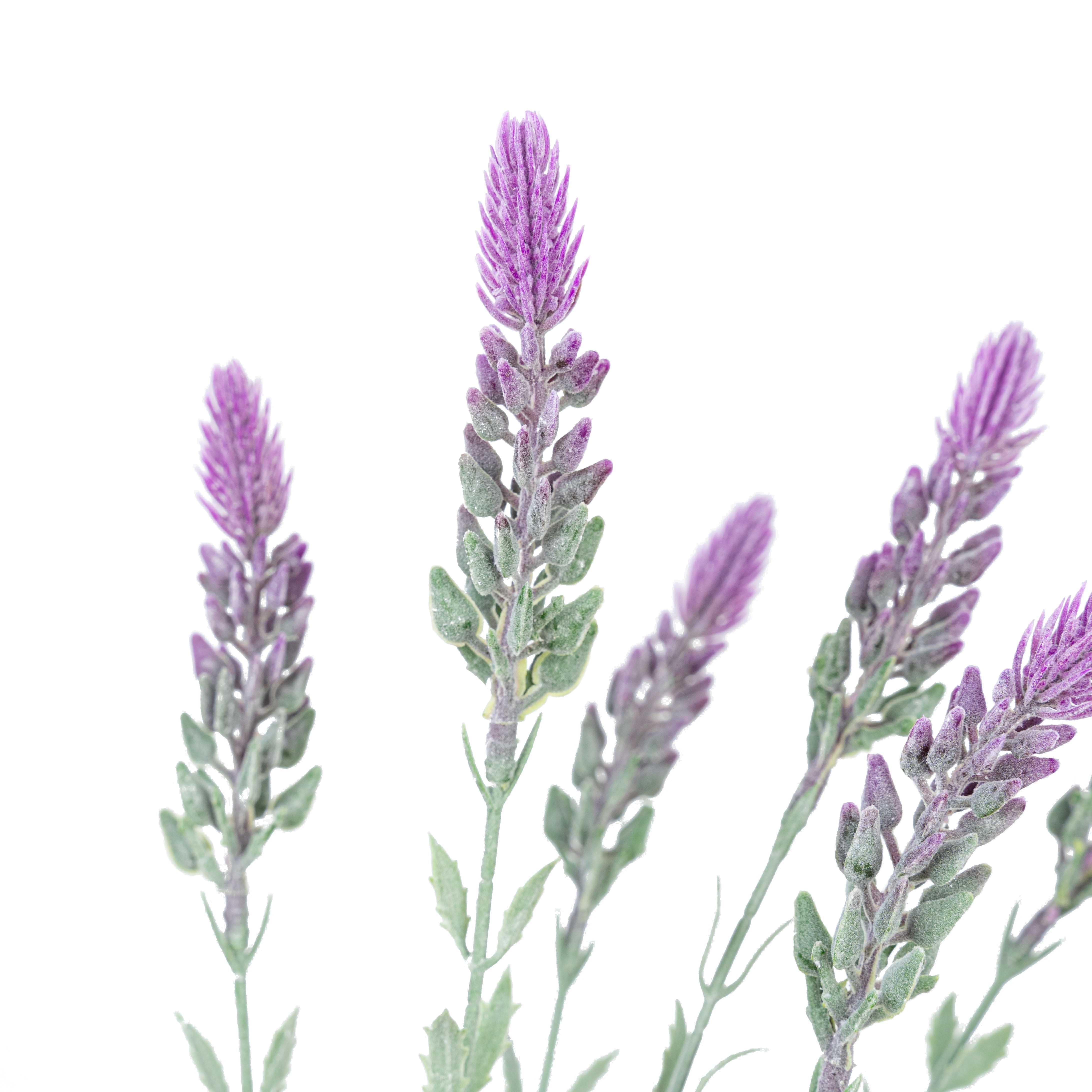 19" LAVENDER BUSH X 7