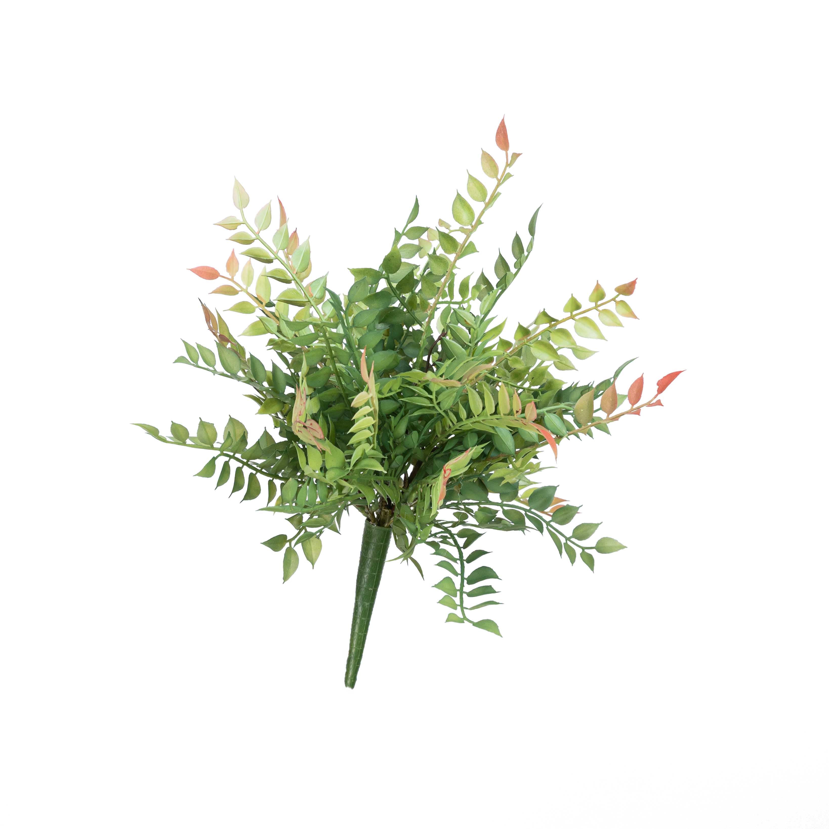 14" PL. ITALIAN RUSCUS BUSH