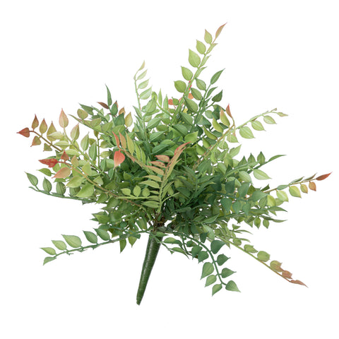 14" PL. ITALIAN RUSCUS BUSH