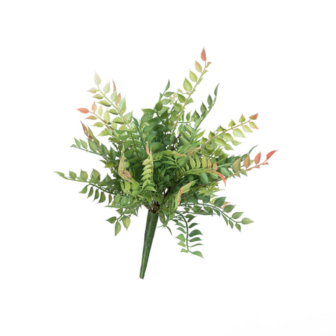 14" PL. ITALIAN RUSCUS BUSH