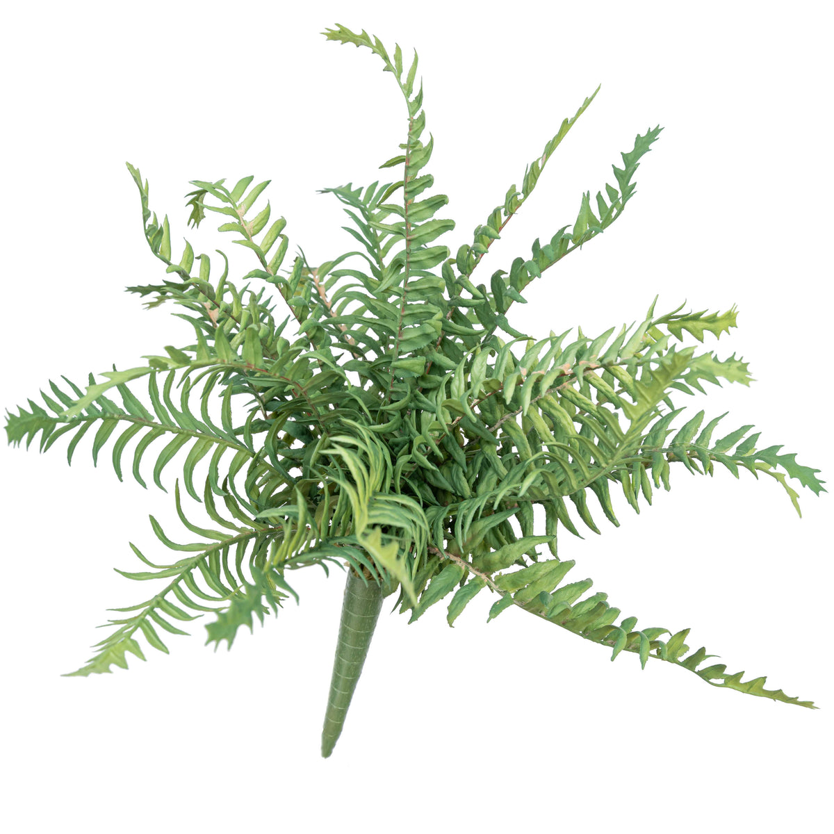 14" FERN BUSH