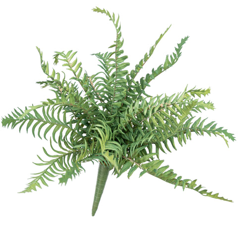 14" FERN BUSH