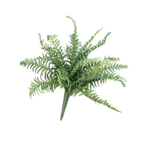 14" FERN BUSH