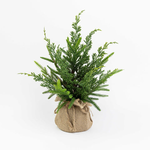 18 X 11" CEDAR PINE TABLE TREE