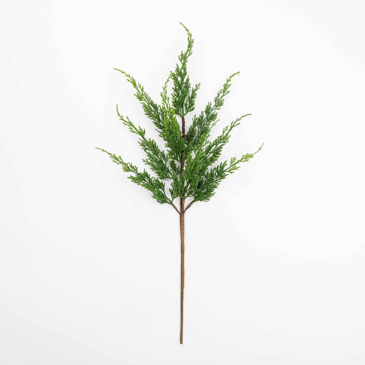 28" CEDAR SPRAY X 9