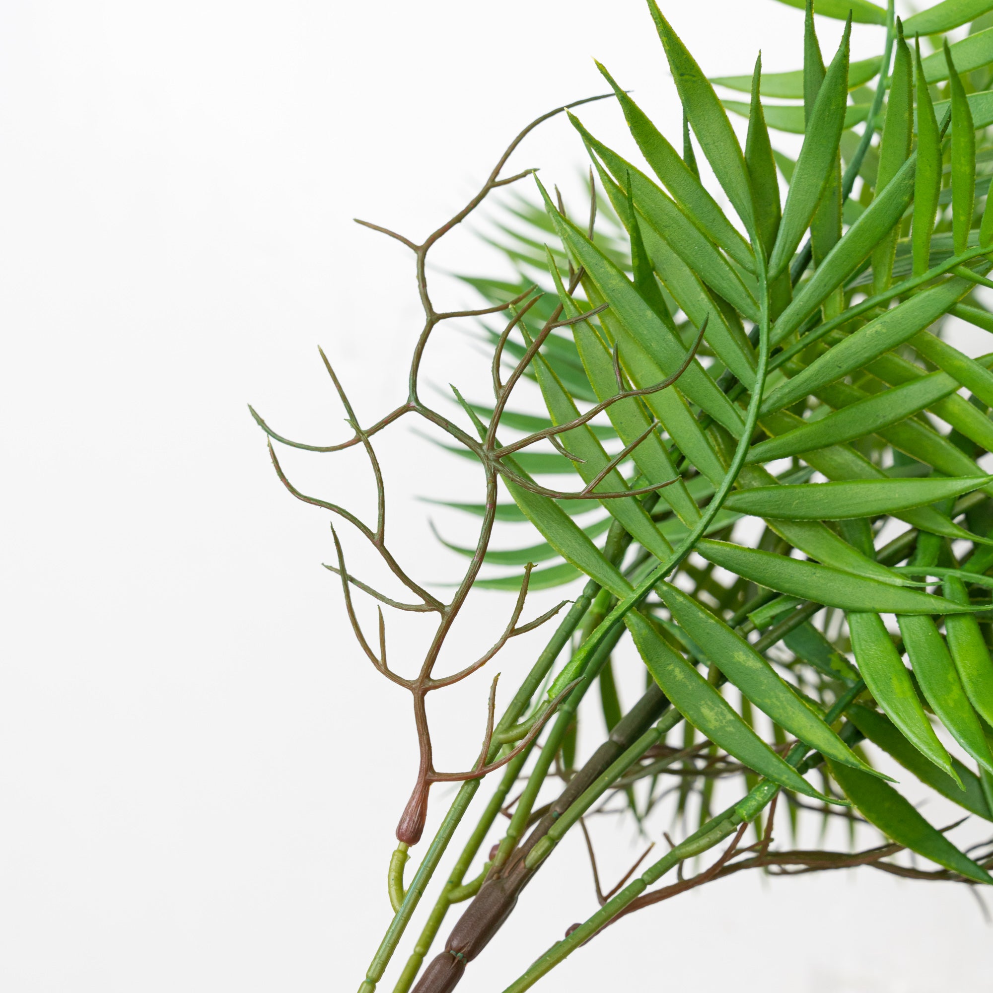 24" PE PALM BUSH X 6