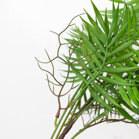 24" PE PALM BUSH X 6