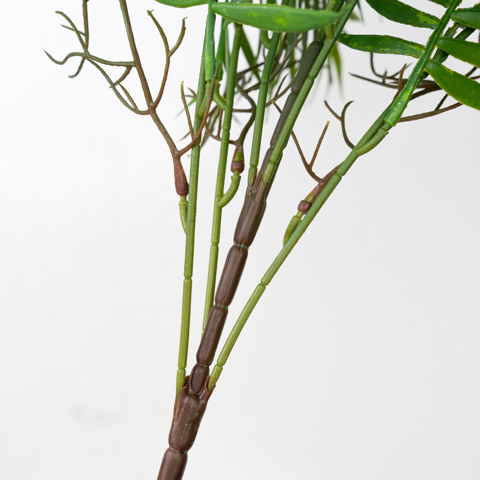 24" PE PALM BUSH X 6