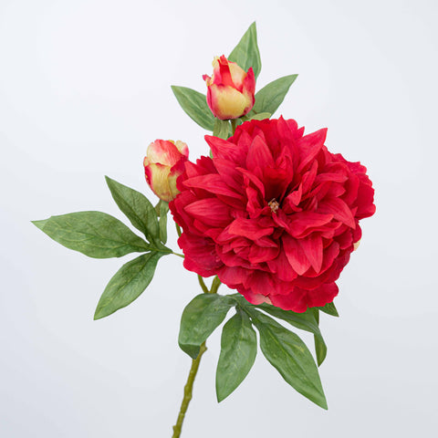 25" PEONY SPRAY