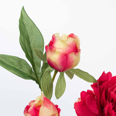 25" PEONY SPRAY