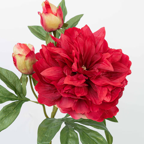 25" PEONY SPRAY