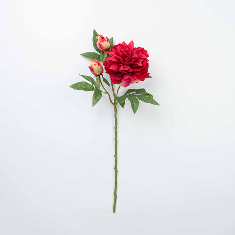 25" PEONY SPRAY