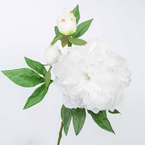 25" PEONY SPRAY