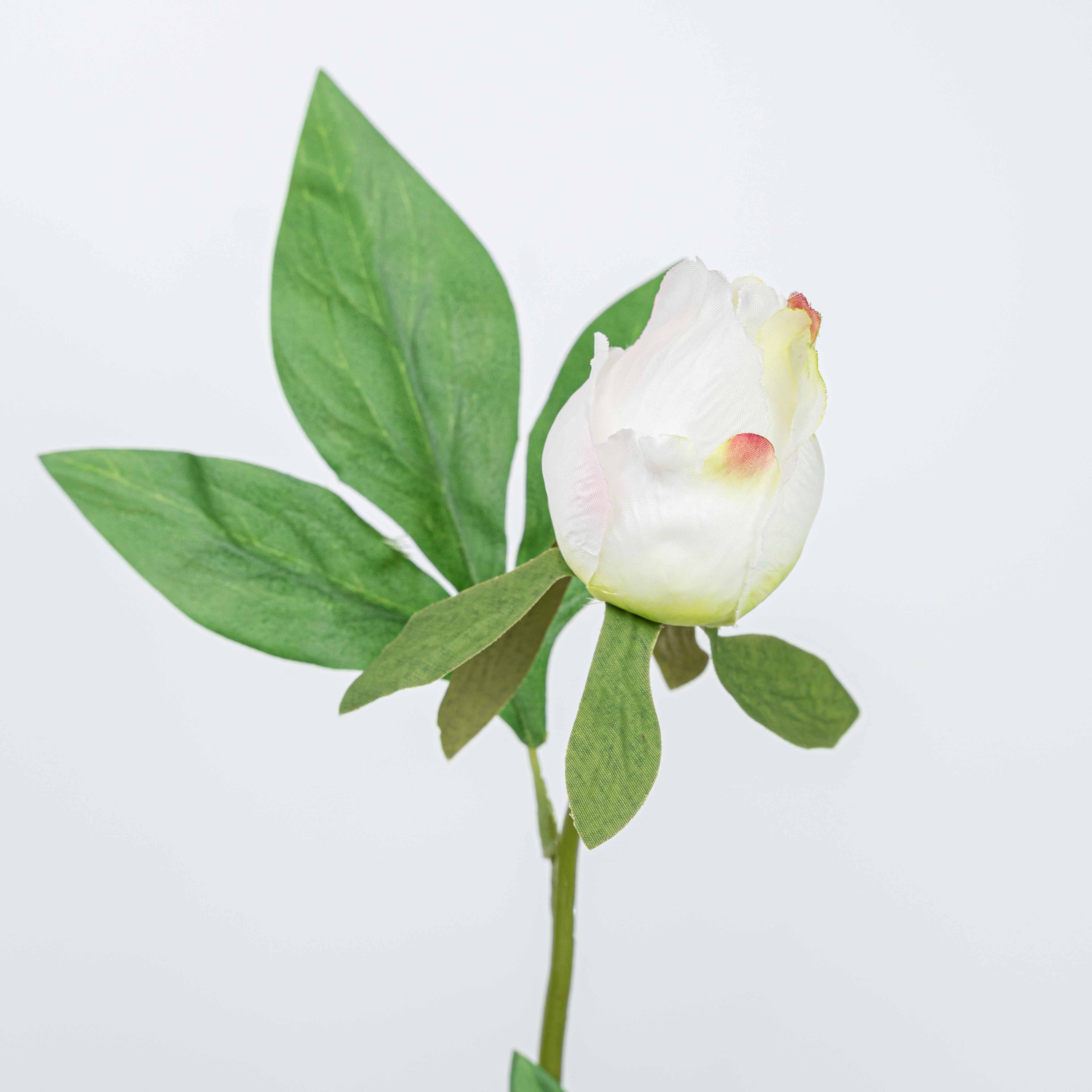 25" PEONY SPRAY