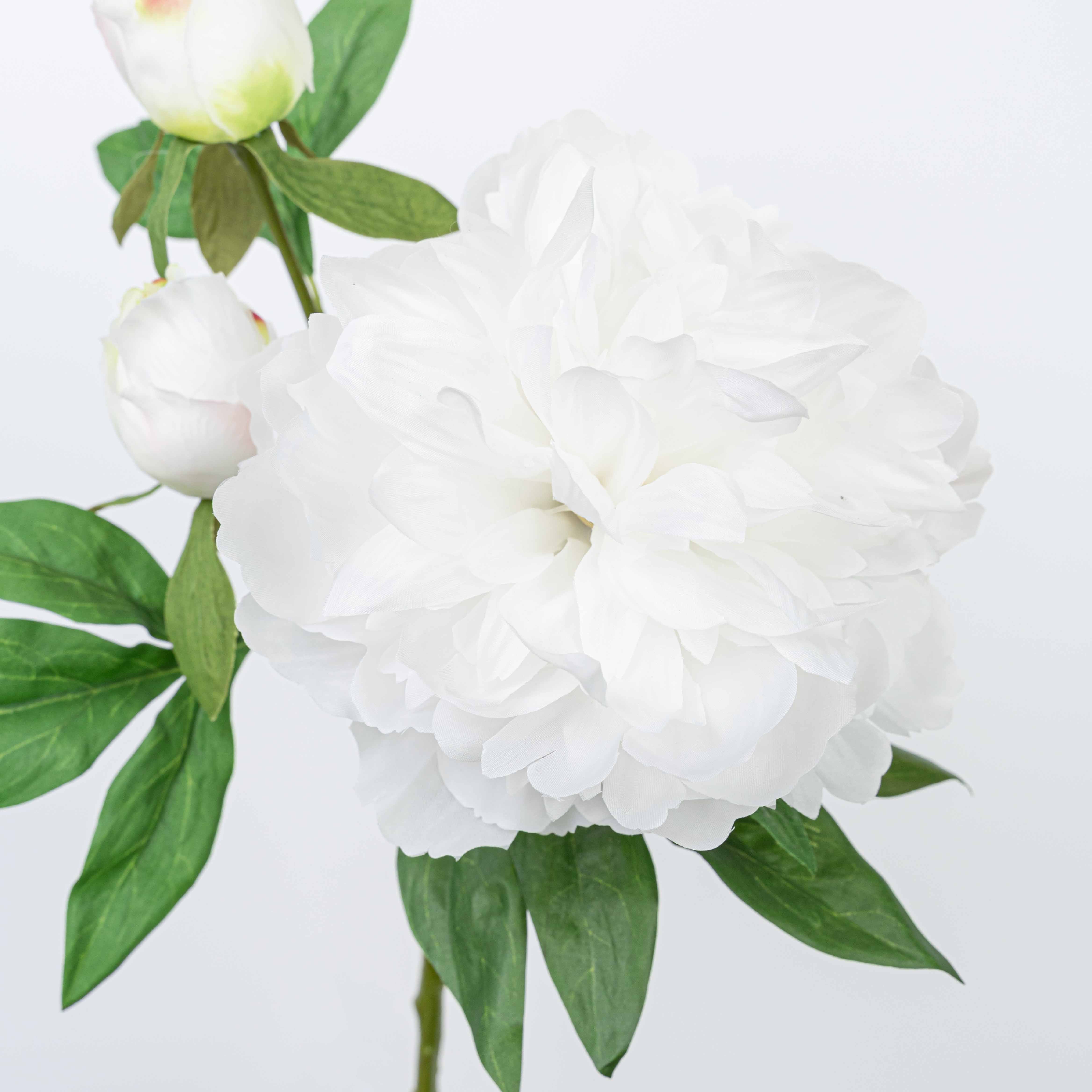 25" PEONY SPRAY