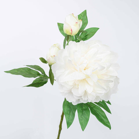 25" PEONY SPRAY