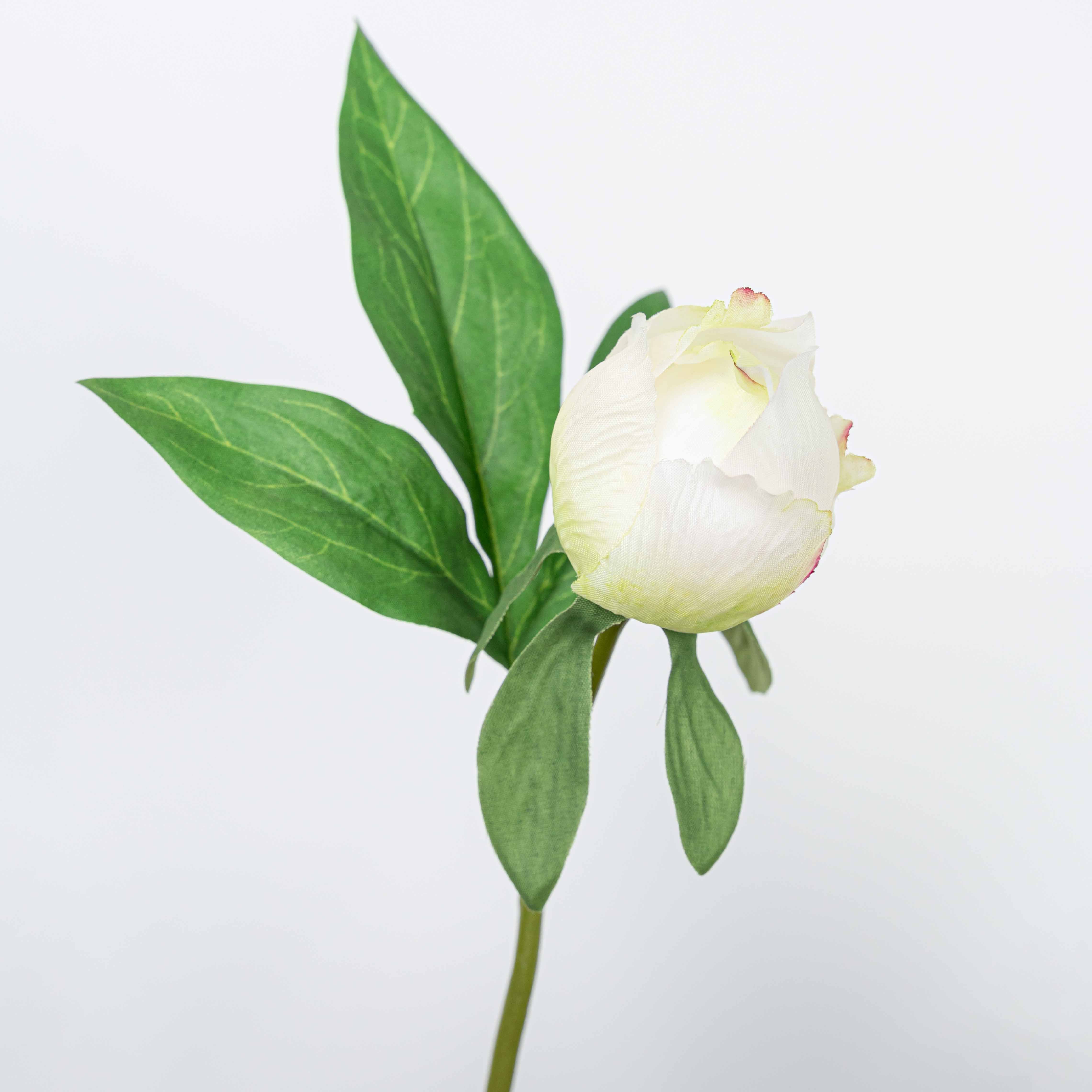 25" PEONY SPRAY