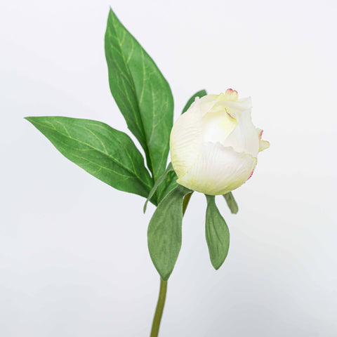 25" PEONY SPRAY