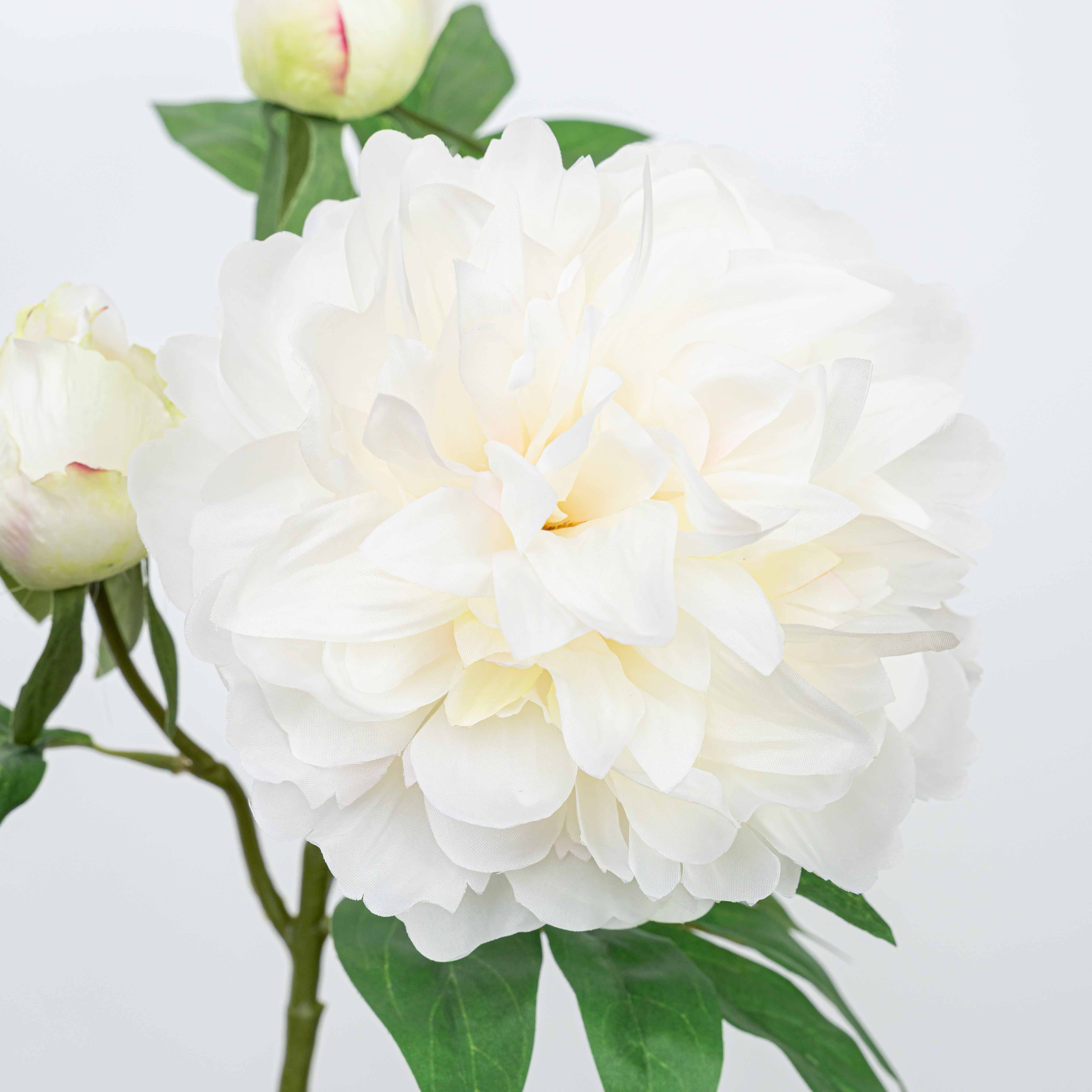 25" PEONY SPRAY