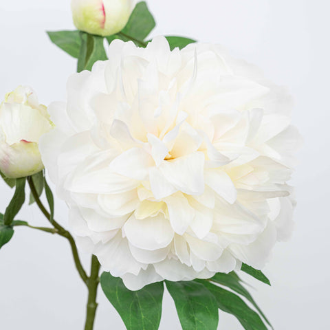 25" PEONY SPRAY