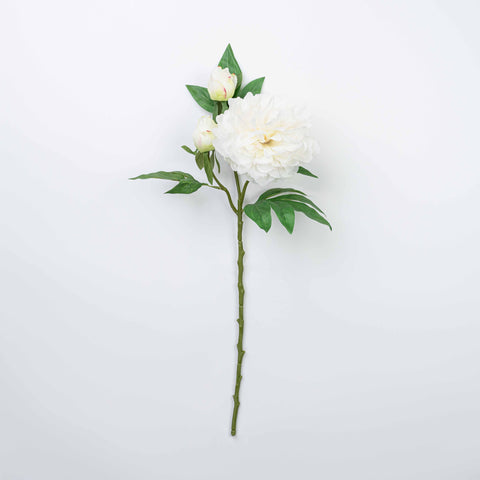 25" PEONY SPRAY