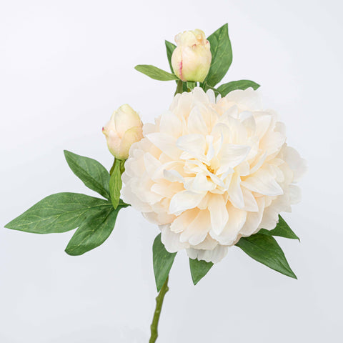 25" PEONY SPRAY