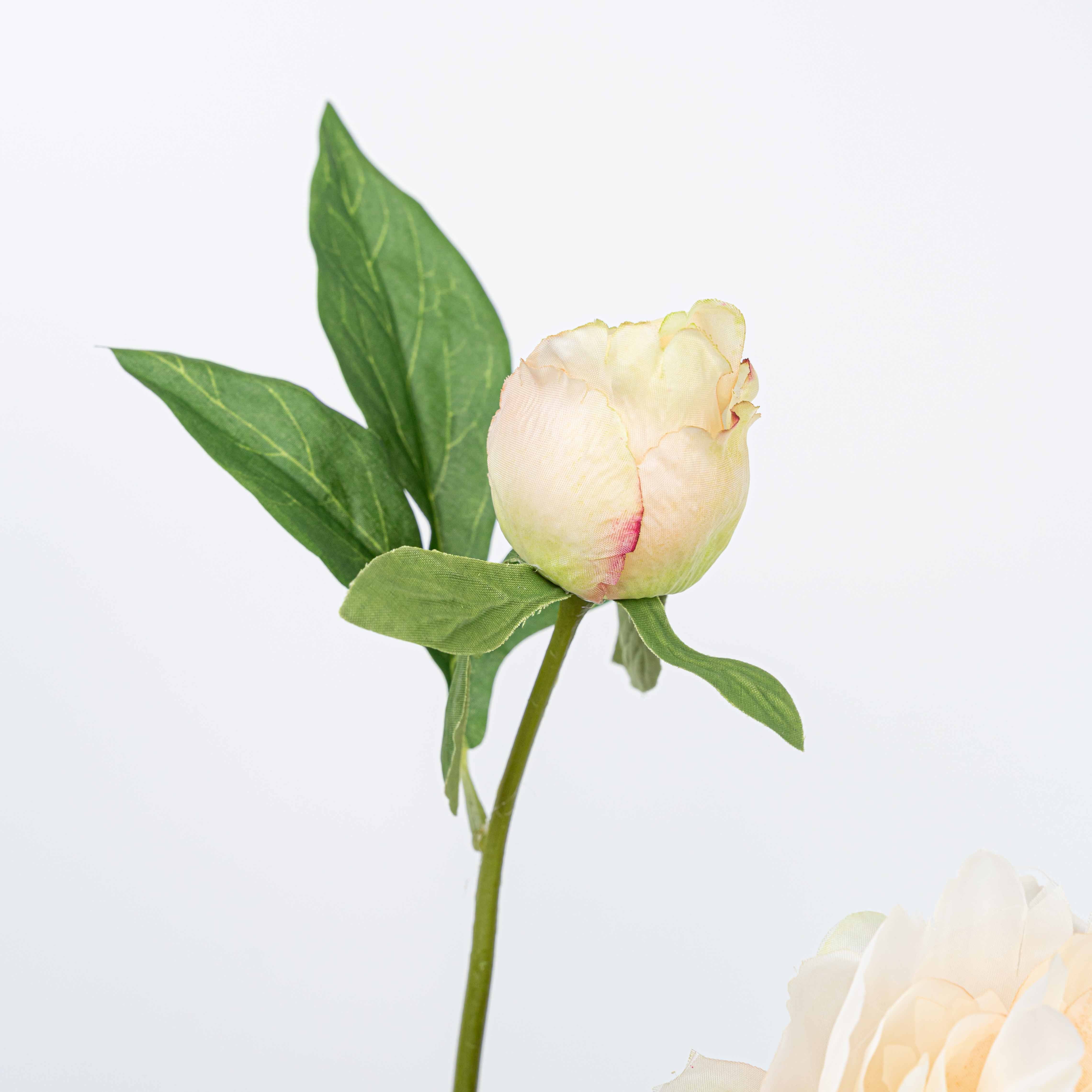 25" PEONY SPRAY