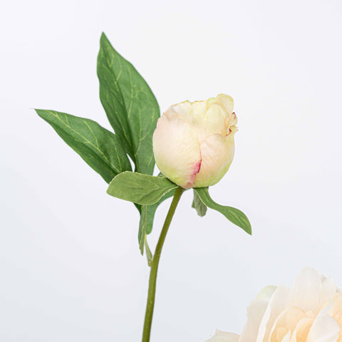 25" PEONY SPRAY