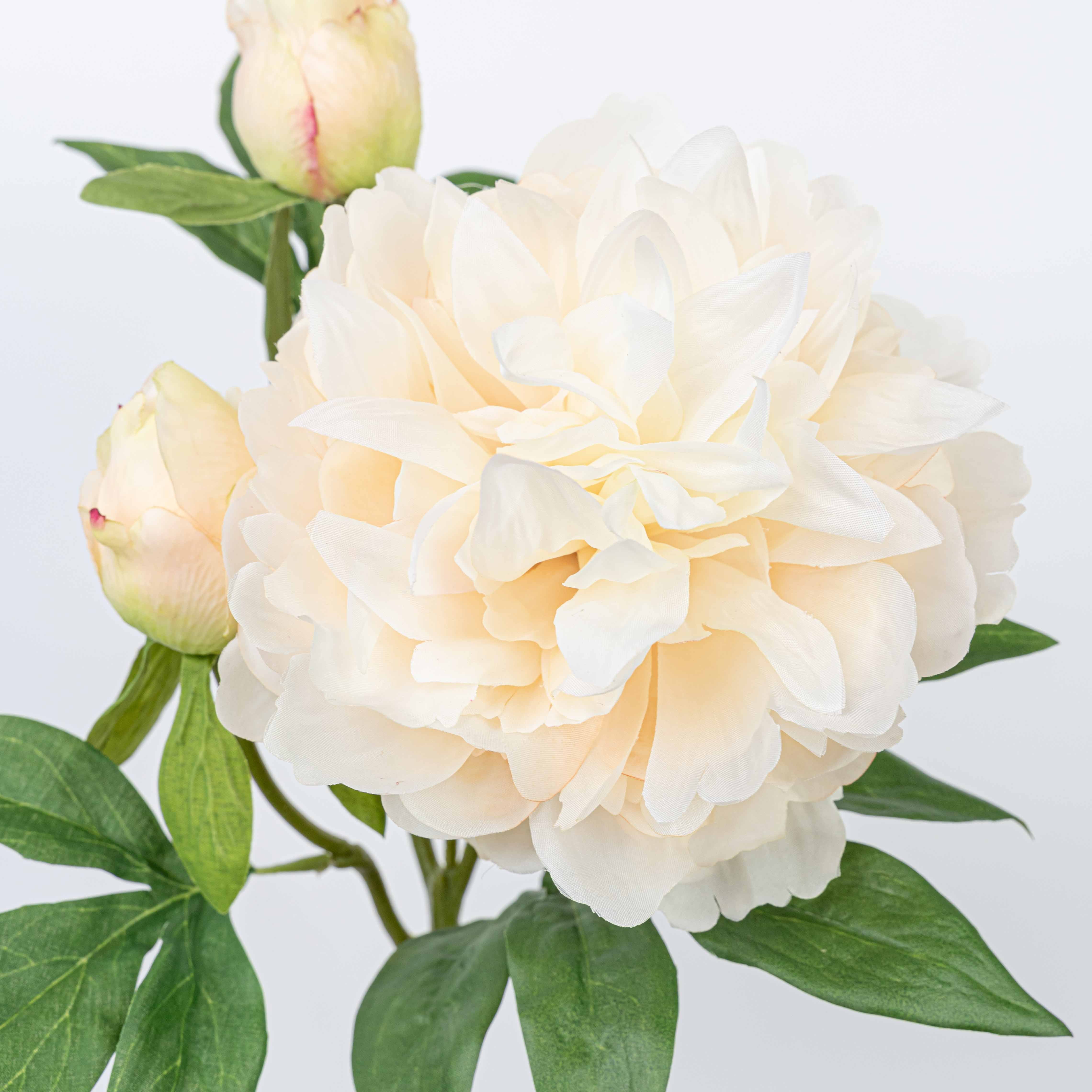 25" PEONY SPRAY