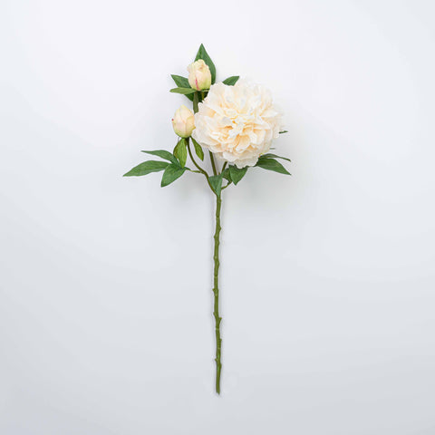 25" PEONY SPRAY