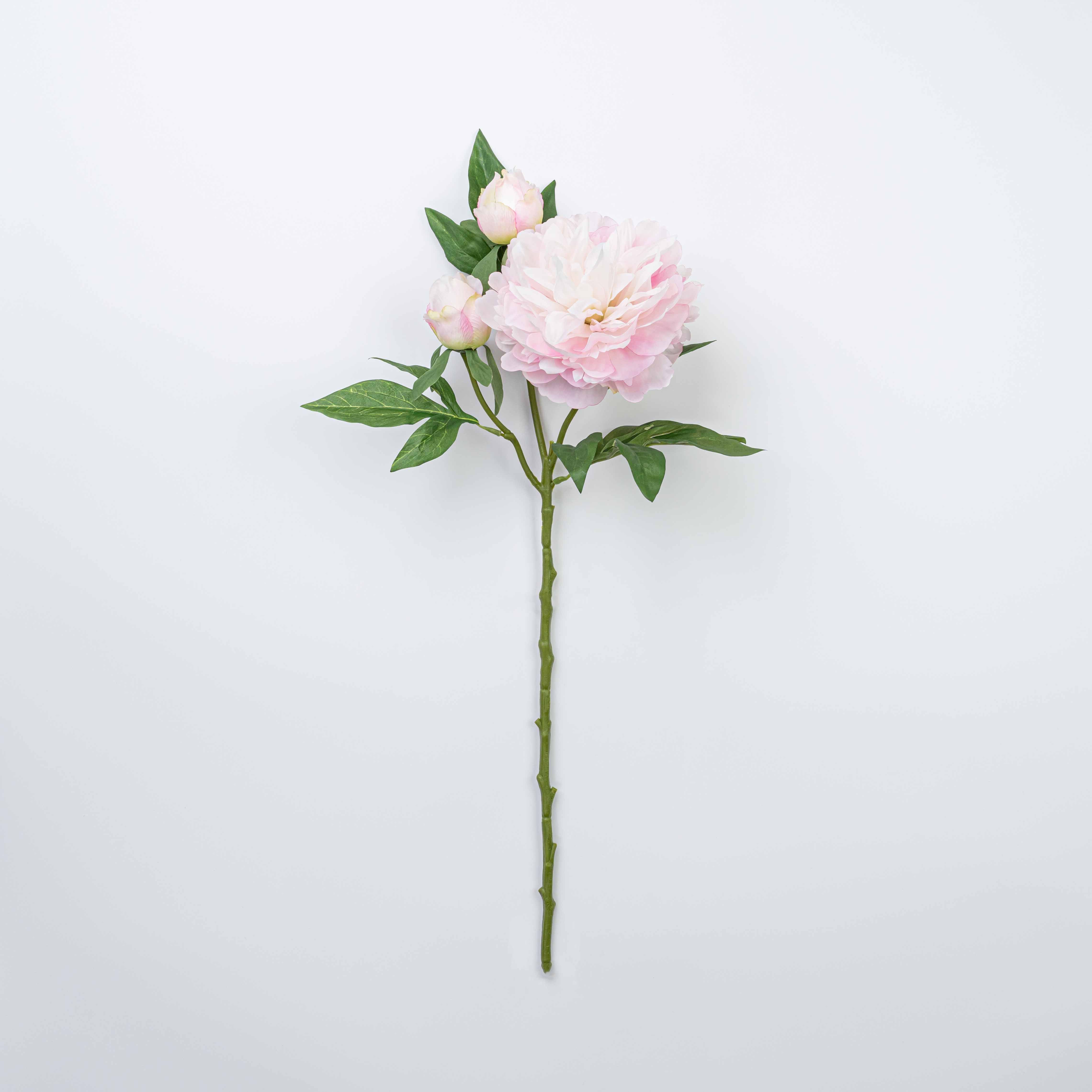 25" PEONY SPRAY