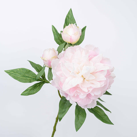 25" PEONY SPRAY