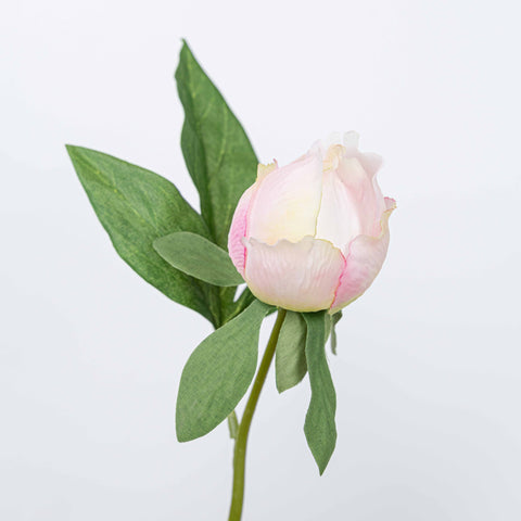 25" PEONY SPRAY