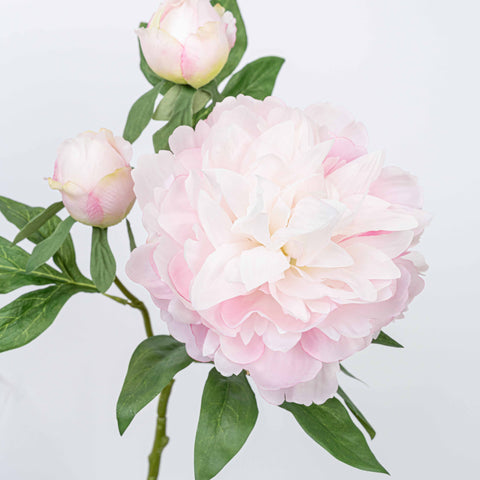 25" PEONY SPRAY