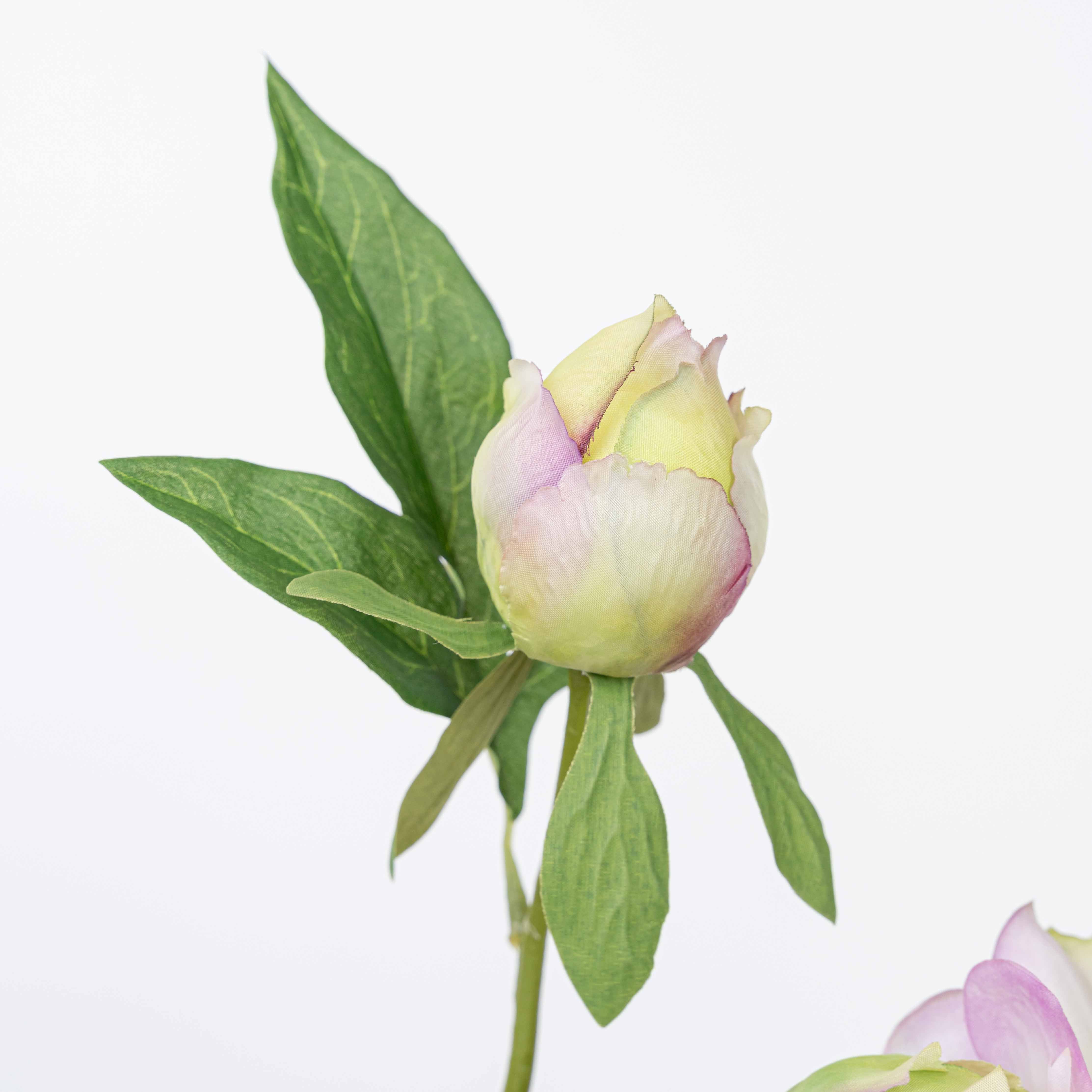 25" PEONY SPRAY