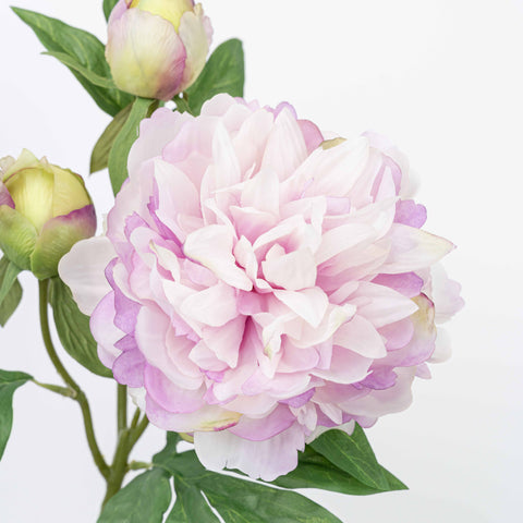 25" PEONY SPRAY