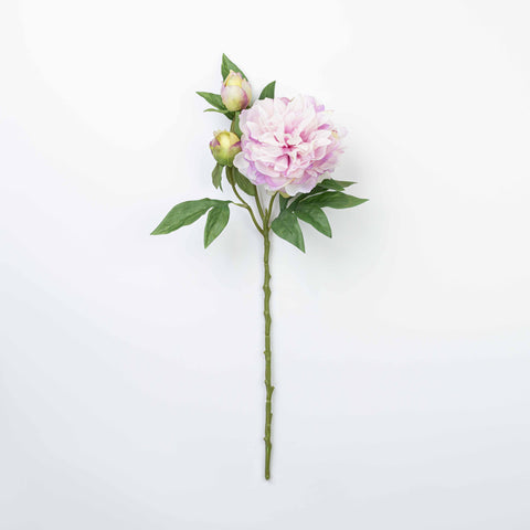 25" PEONY SPRAY